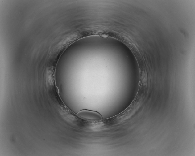 X0000115820719200911131444