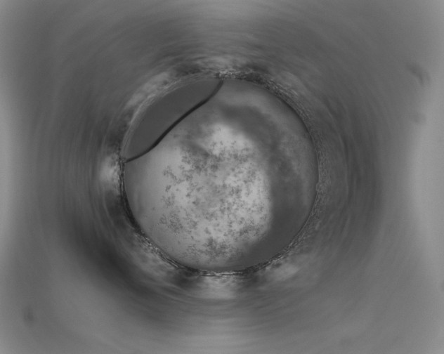 X0000115820720200911131444