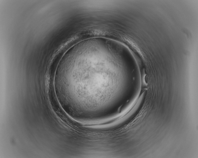 X0000115820722200911131444