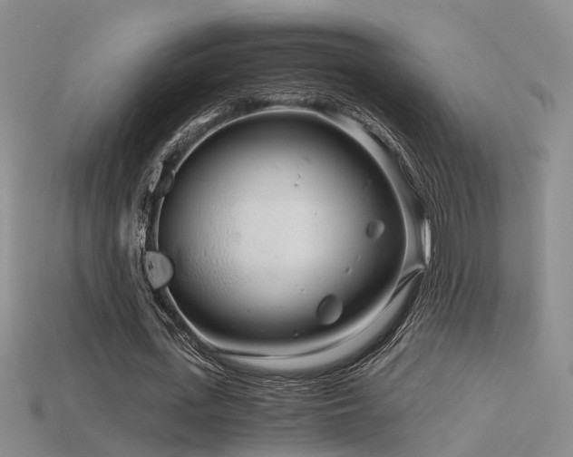 X0000115820723200911131444