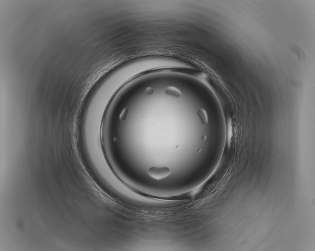 X0000115820725200911131444