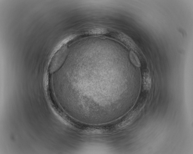 X0000115820726200911131444