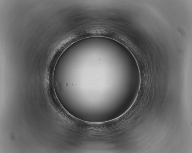 X0000115820727200911131444