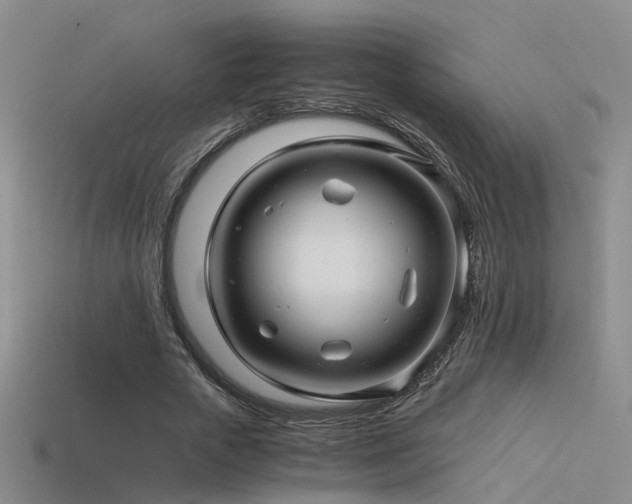 X0000115820729200911131444