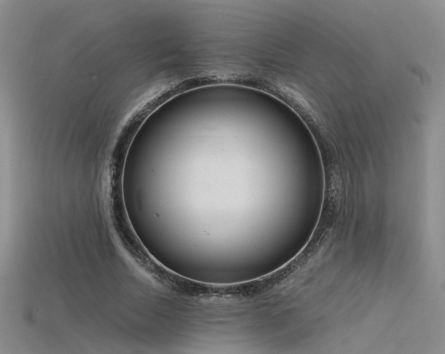 X0000115820730200911131444