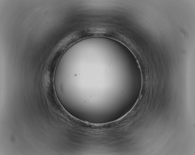 X0000115820731200911131444