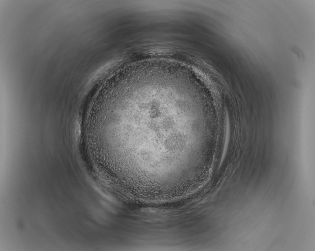 X0000115820733200911131444