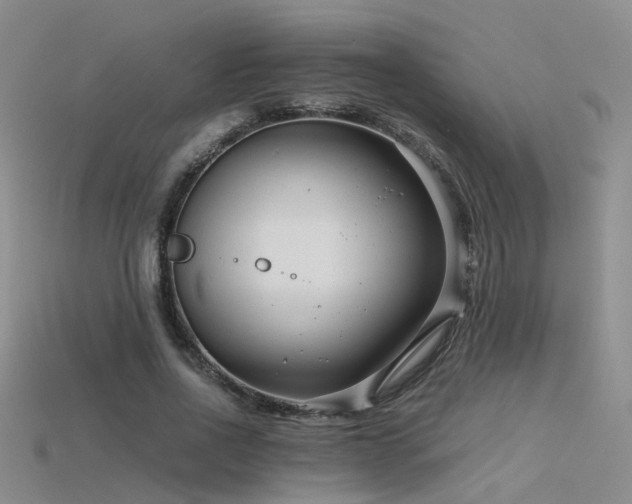 X0000115820734200911131444