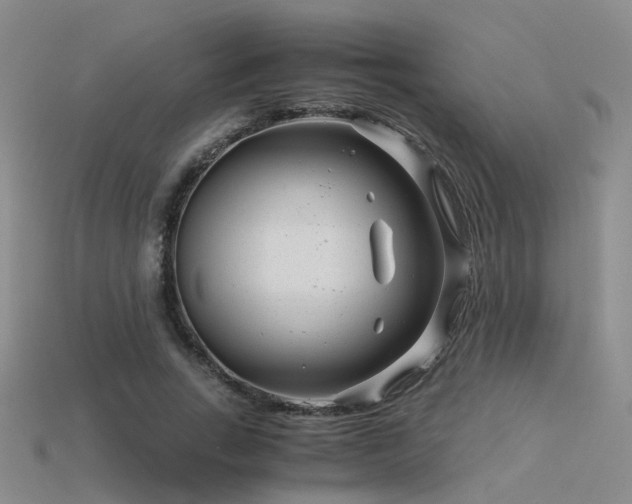 X0000115820735200911131444