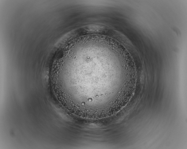 X0000115820737200911131444