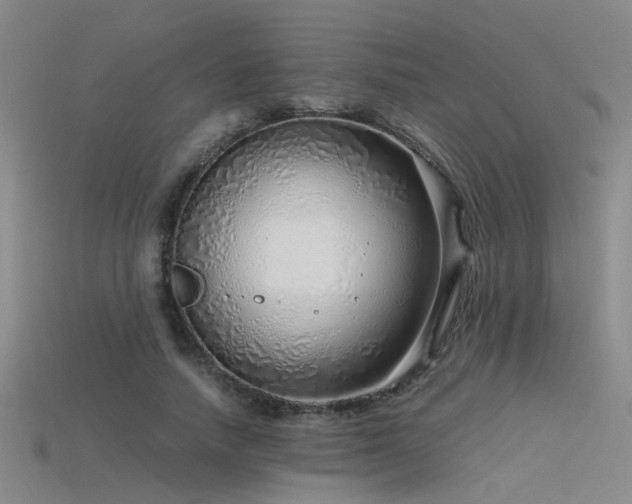 X0000115820738200911131444