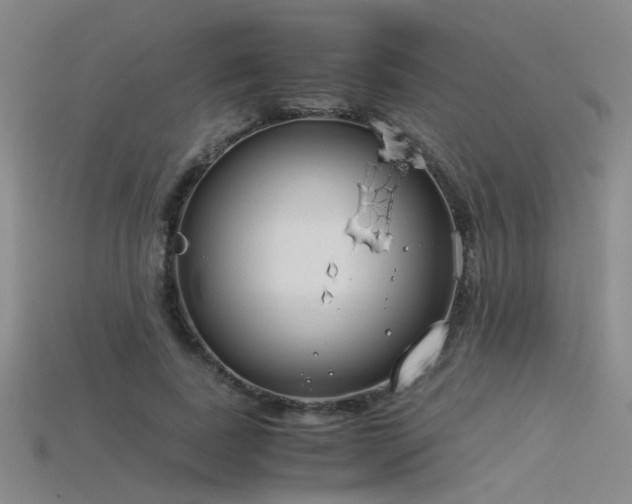 X0000115820739200911131444