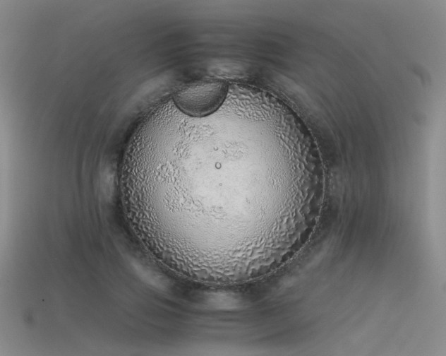 X0000115820741200911131444