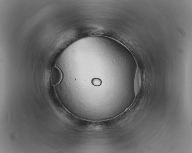 X0000115820742200911131444