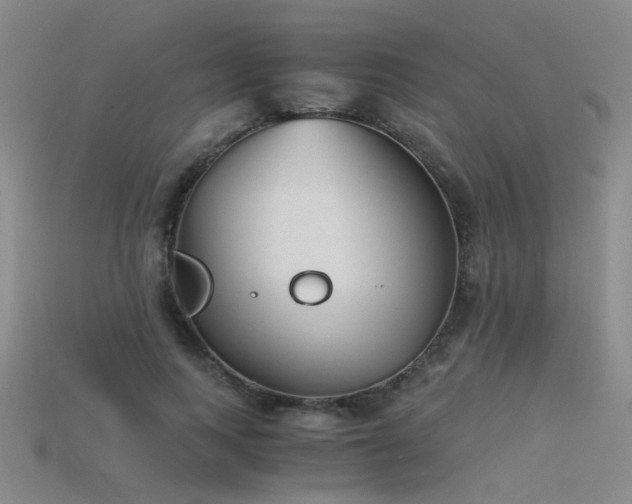 X0000115820743200911131444