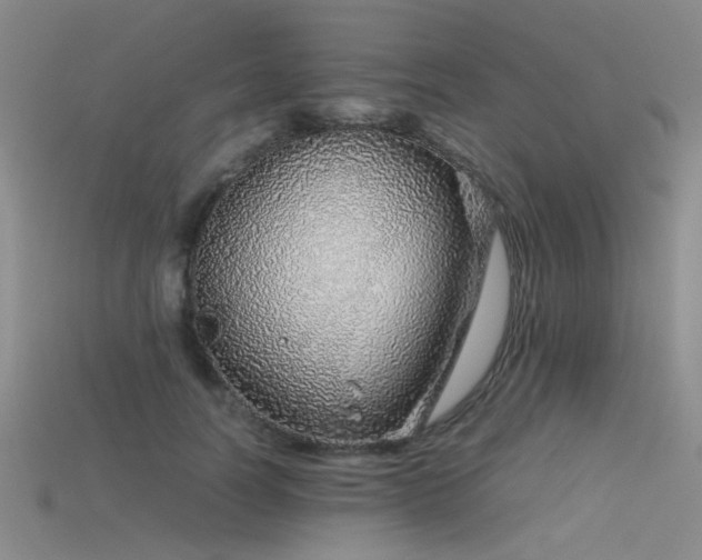 X0000115820746200911131444