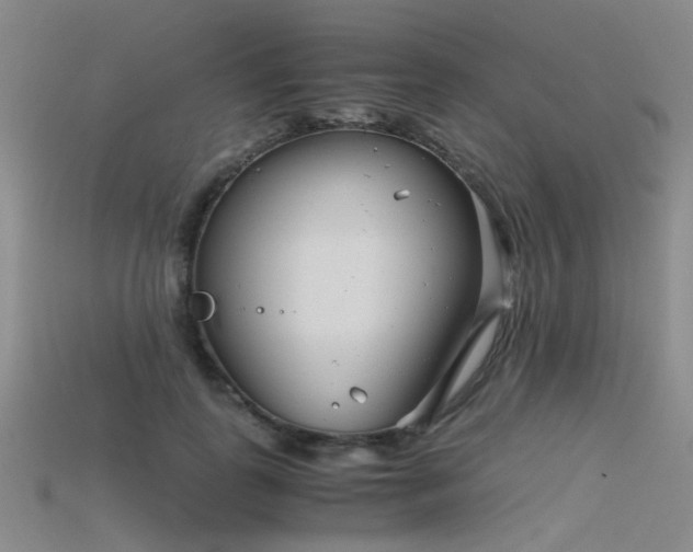 X0000115820747200911131444