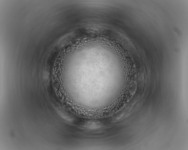 X0000115820749200911131444