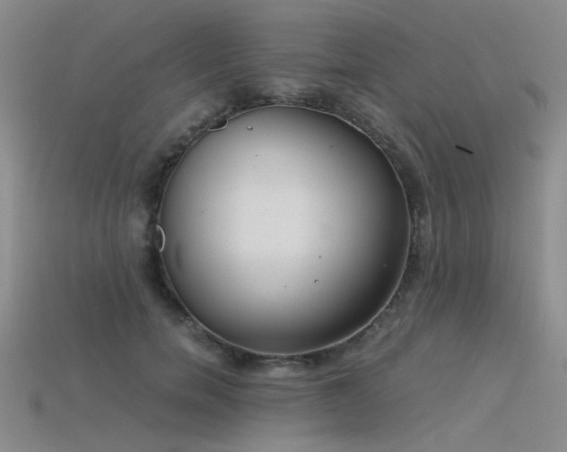 X0000115820750200911131444