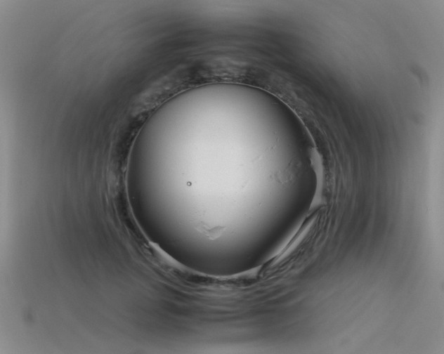 X0000115820751200911131444