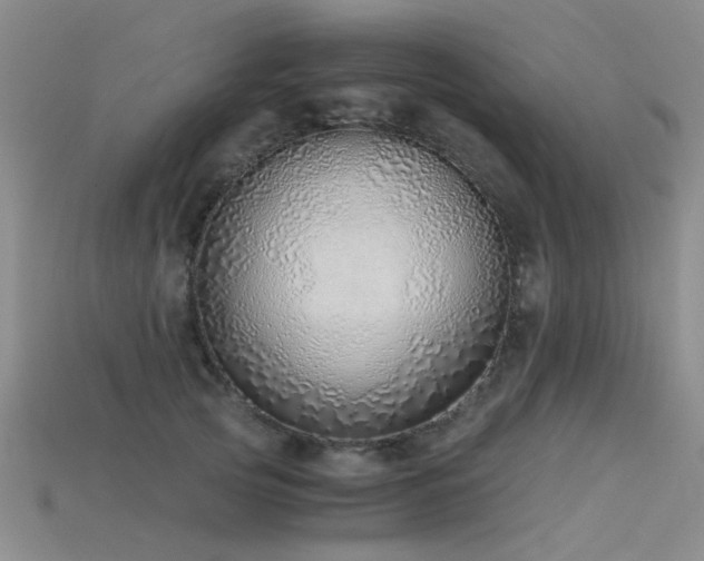 X0000115820753200911131444