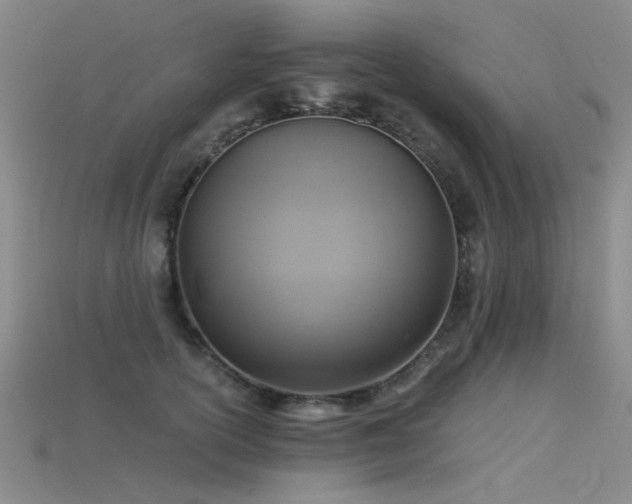 X0000115820754200911131444