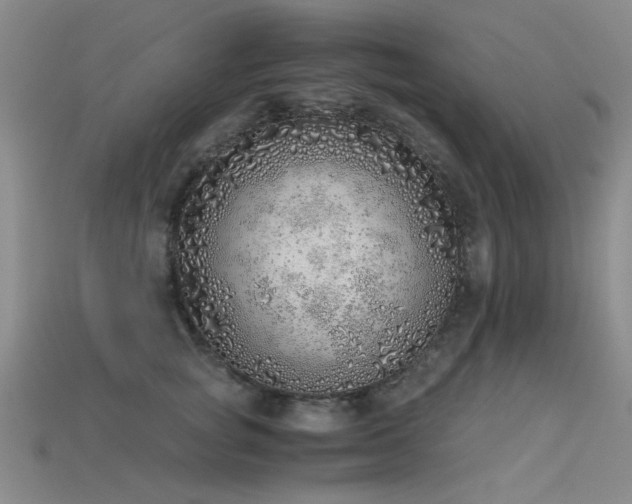 X0000115820757200911131444