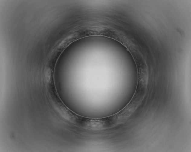 X0000115820758200911131444