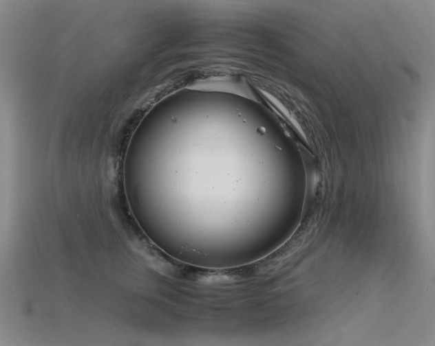 X0000115820759200911131444