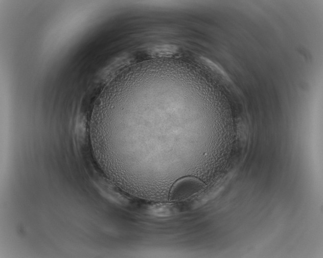 X0000115820761200911131444