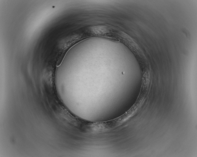 X0000115820762200911131444