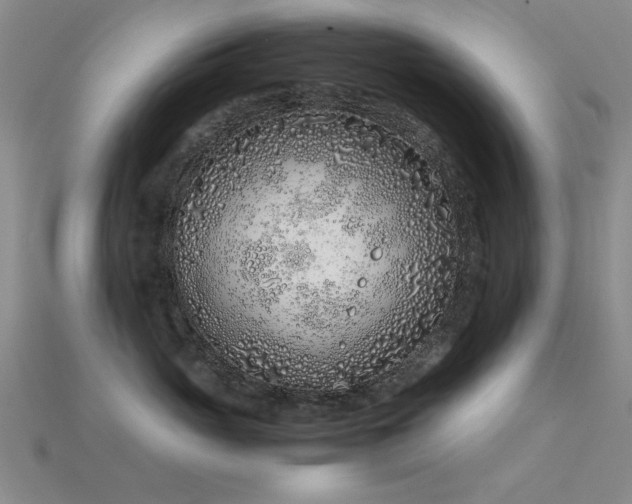 X0000115820765200911131444