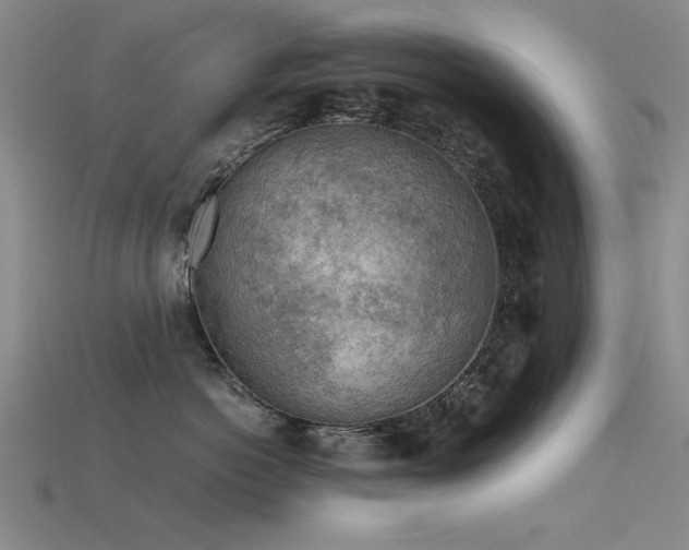 X0000115820766200911131444