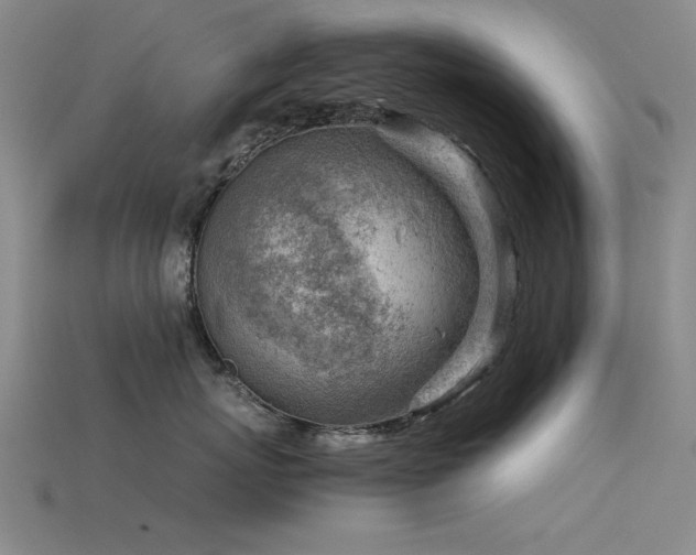 X0000115820767200911131444