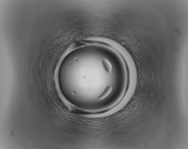 X0000115820769200911131443