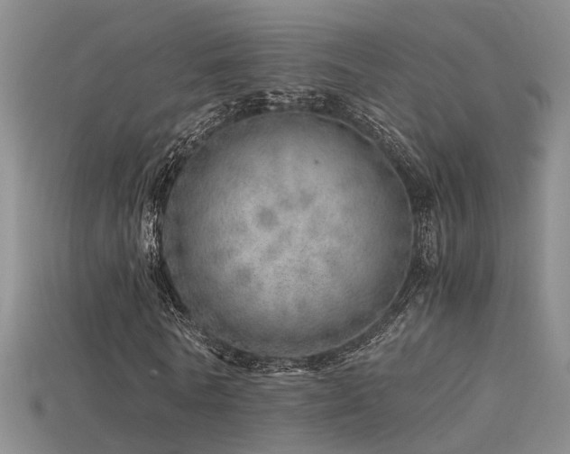 X0000115820770200911131443