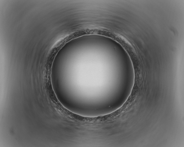 X0000115820775200911131443