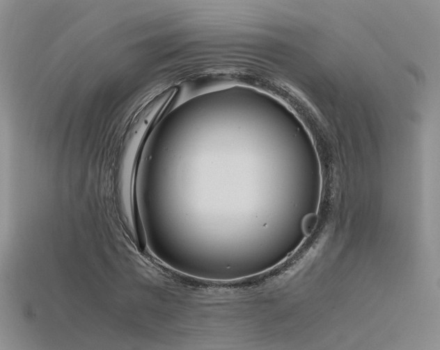 X0000115820777200911131443