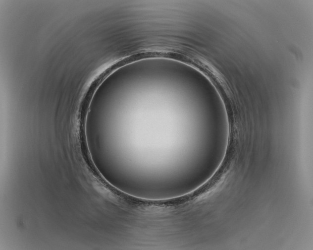 X0000115820779200911131443