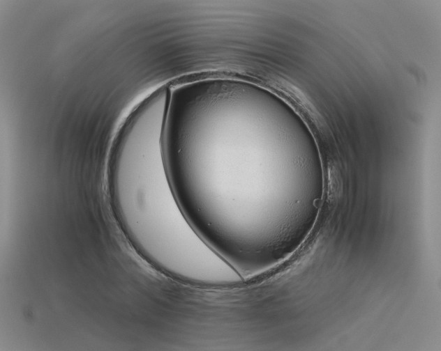 X0000115820780200911131443