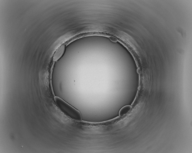 X0000115820781200911131443