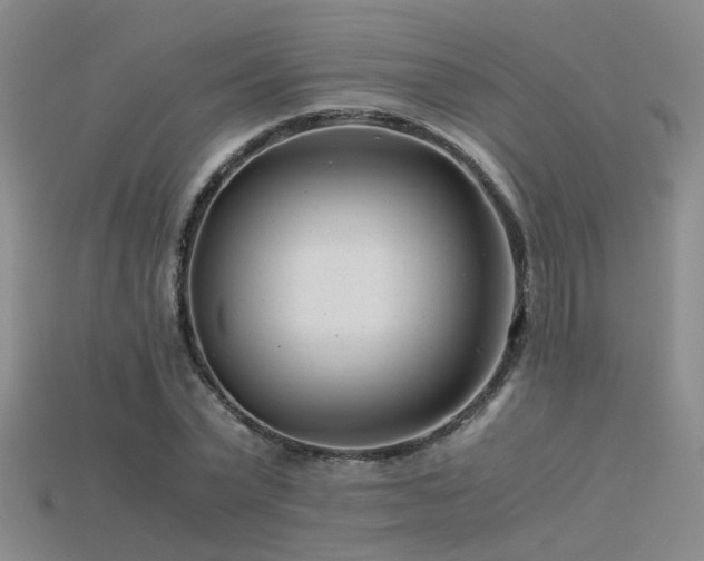 X0000115820783200911131443