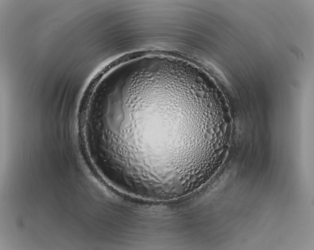 X0000115820784200911131443