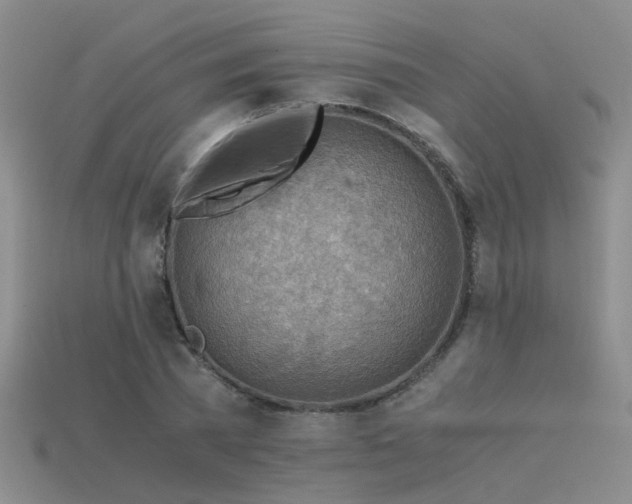 X0000115820785200911131443