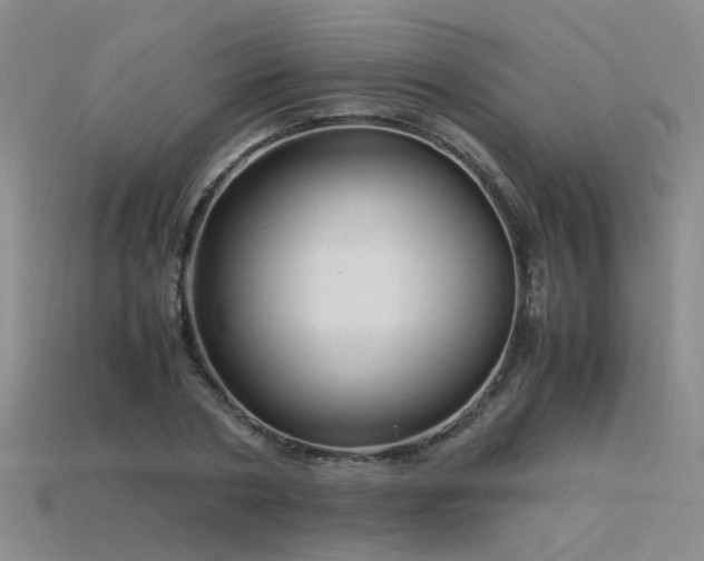 X0000115820786200911131443