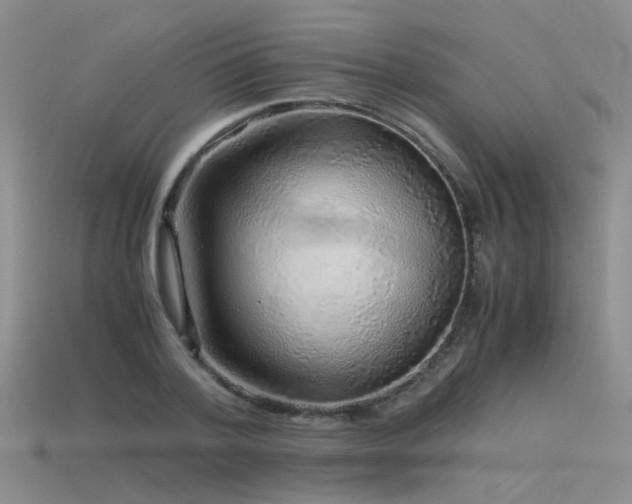 X0000115820788200911131443