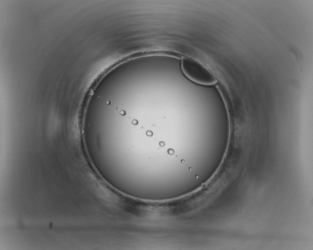 X0000115820789200911131443