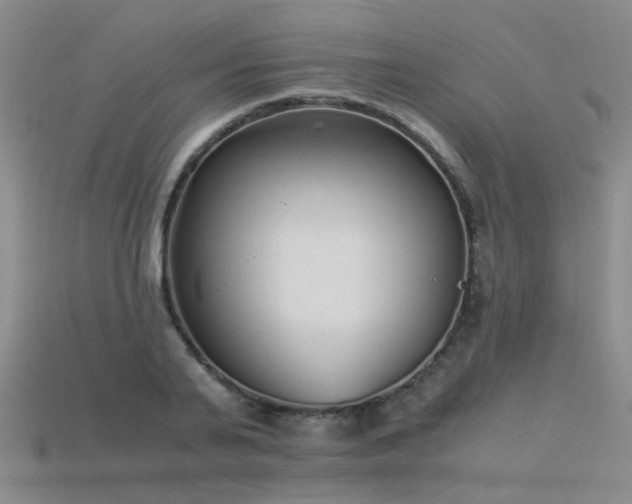 X0000115820791200911131443