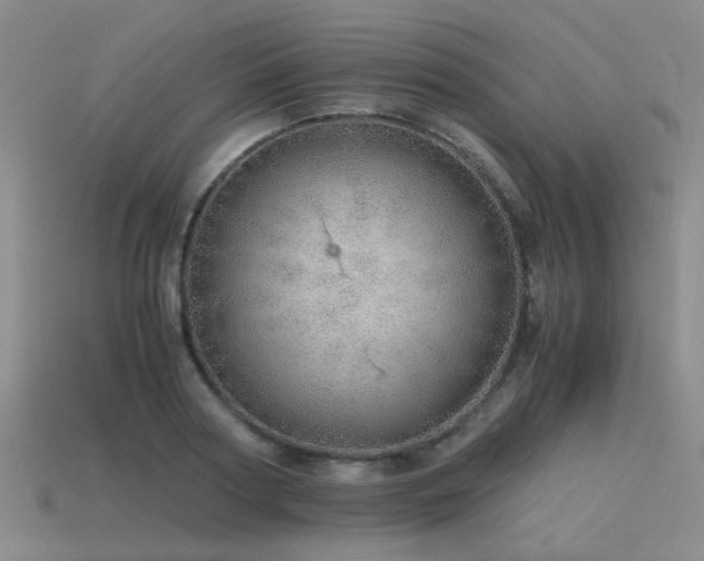 X0000115820794200911131443