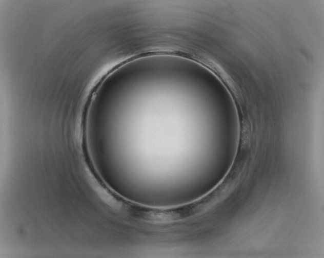 X0000115820795200911131443